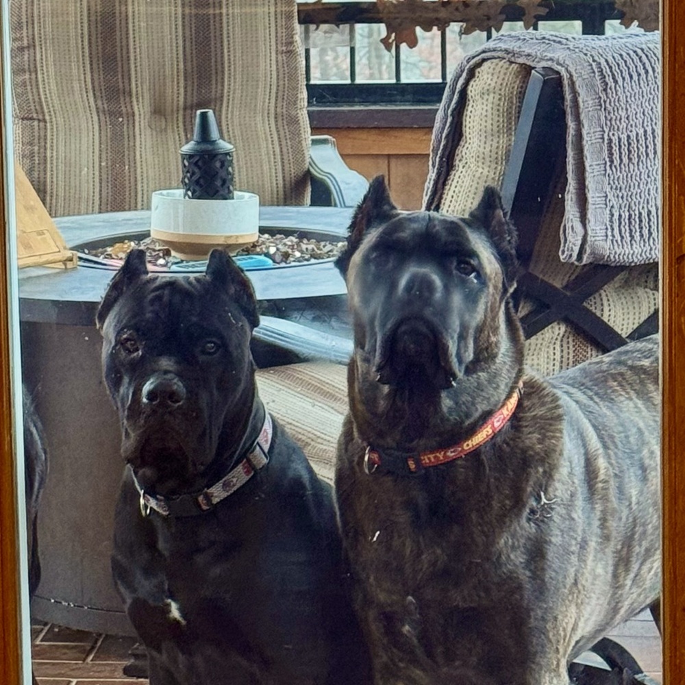 Meet your Posher, Cindy